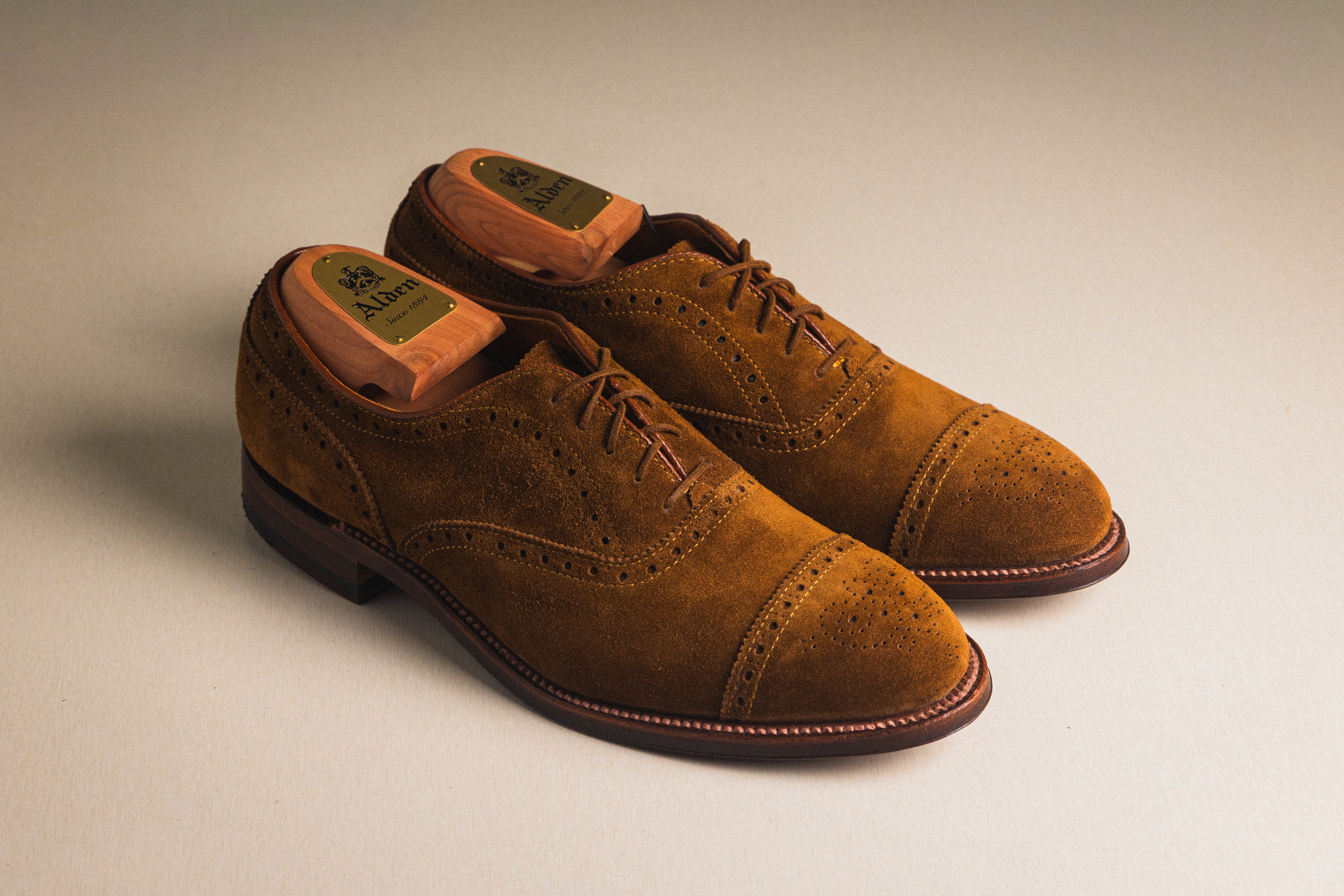 Alden - Dark Brown Suede Medallion Tip Bal