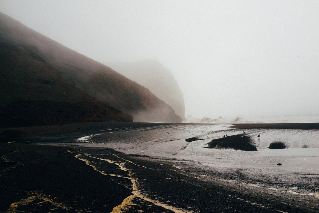 The Gang Goes to the Pelican Inn