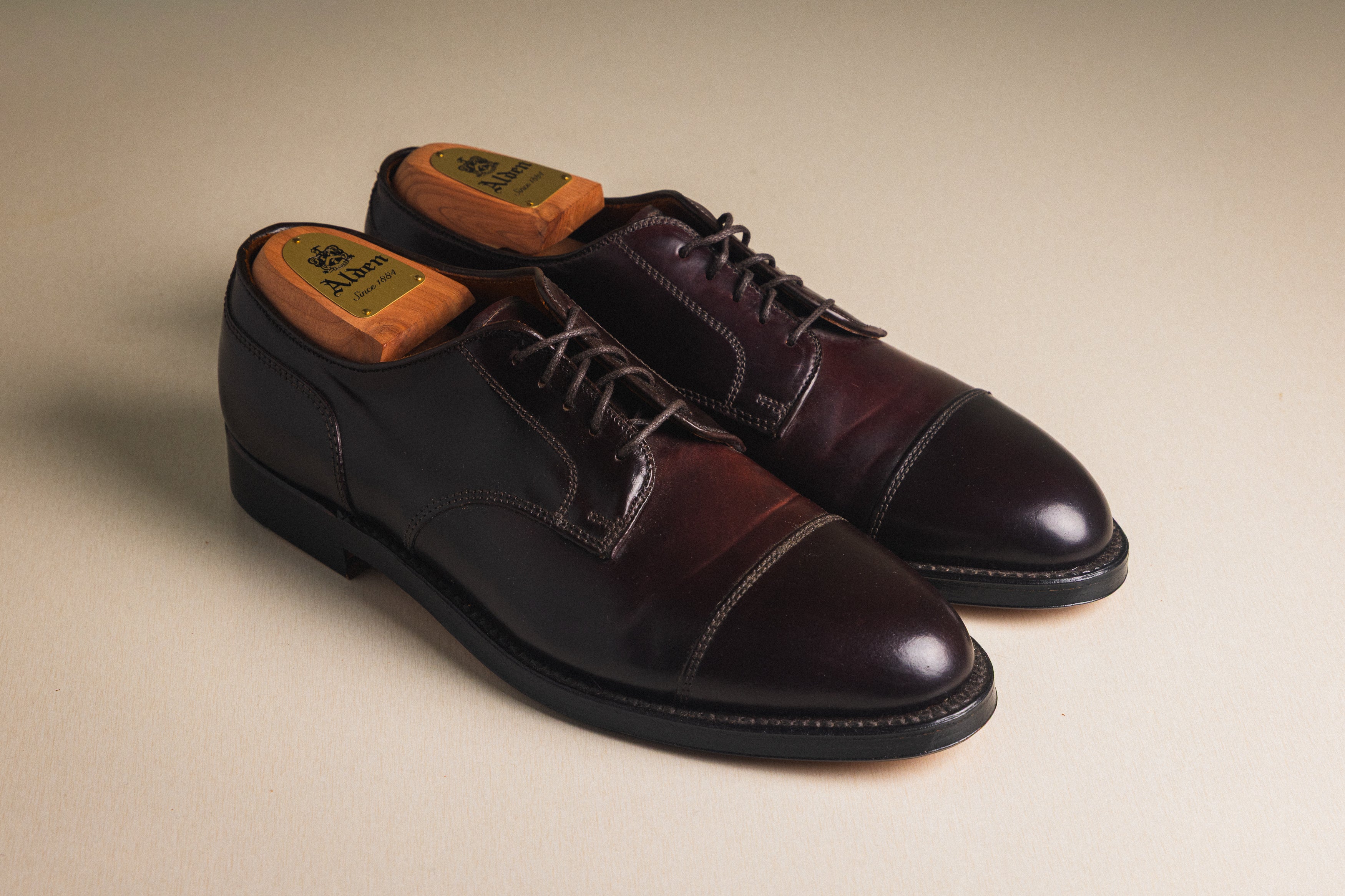 Alden - Color 8 Straight Tip Blucher